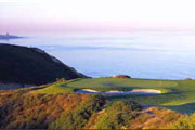 torrey pines